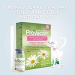 Probiotic Vaginal Care, Naturally Treats and Prevents Vaginal Yeast and Bacterial Infection for Women, 7-Day Treatment, 14-Count - Image 7