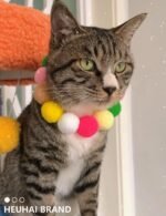 40 PCS Cat Balls, Interactive Cat Toy Balls for Indoor Cats, Enhance Agility and Playfulness, Ideal Kitten Toys for Indoor Kittens, for Small and Medium Breed Sizes - Image 8