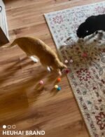 40 PCS Cat Balls, Interactive Cat Toy Balls for Indoor Cats, Enhance Agility and Playfulness, Ideal Kitten Toys for Indoor Kittens, for Small and Medium Breed Sizes - Image 9