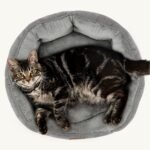 Bedsure Small Dog Bed, Round Pet Bed for Cats and Small Dogs – Machine Washable Cat Beds - Anti-Slip Bottom - All Season Ultra Soft Cat & Dog Cushion Bed - 20 inches Donut Round Cushion Dog Bed - Image 9