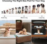 Dog Training Pad, Large 60x60cm (50 Pack), Disposable Puppy Pee Pads, Ultra Absorbent 6-Layer, Leak-Proof, Quick-Dry for Cats, Rabbits Pet Supplies - Image 6