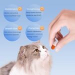 Cat Urinary Health Supplement, Natural Diuretic Formula, 30 Capsules - Image 4