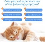 Cat Urinary Health Supplement, Natural Diuretic Formula, 30 Capsules - Image 6