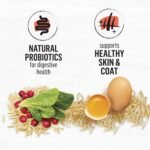 Beyond Simply Natural Dry Cat Food, Salmon & Whole Brown Rice - 1.36 kg Bag - Image 6