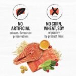 Beyond Simply Natural Dry Cat Food, Salmon & Whole Brown Rice - 1.36 kg Bag - Image 8