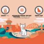 Great Jack’s Cat Treats Pouch Freeze-Dried Salmon Snacks Omega 3 Cat Treats for Your Furry Friends 1 OZ / 28G - Image 4