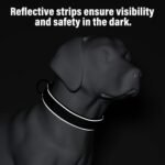 Plutus Pet Tactical Dog Collar, Reflective, Adjustable Heavy Duty Dog Collar, Soft Padded and Comfortable, for Small Medium and Large Dogs (Red, L) - Image 6