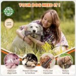 Dog Toys for Aggressive Chewers, Indestructible Dog Bones for Aggressive Chewers, Tough Dog Chew Toy for Heavy Duty Dogs, Big Dog Teething Toys with Durable Nylon for Large/Medium Breed Puppies - Image 6