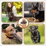 Dog Toys for Aggressive Chewers, Indestructible Dog Bones for Aggressive Chewers, Tough Dog Chew Toy for Heavy Duty Dogs, Big Dog Teething Toys with Durable Nylon for Large/Medium Breed Puppies - Image 8