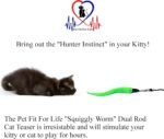 Pet Fit For Life Cat Wand Toy: 5-Piece Worm Teaser & Exerciser - Cat Wand Toys for Indoor Cats - Durable Flirt Pole/Teaser Worm Toy for Cats - Interactive Fun for Feline Fitness Health & Agility - Image 3