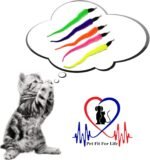 Pet Fit For Life Cat Wand Toy: 5-Piece Worm Teaser & Exerciser - Cat Wand Toys for Indoor Cats - Durable Flirt Pole/Teaser Worm Toy for Cats - Interactive Fun for Feline Fitness Health & Agility - Image 6