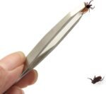 FEPITO 5 Pcs Stainless Steel Tick Remover Tool Set Pet Dogs Cats Ticks Remover Kit Including 1 PCS Tick Removal Tweezers 1 PCS Sharp Rake 1 PCS Two Clips and 1PCS Lice Comb - Image 5