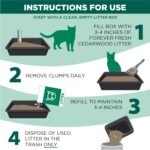 Arm & Hammer Forever Fresh Clumping Cat Litter Cedarwood, MultiCat 18lb, Pet Friendly with Essential Oils - Image 6