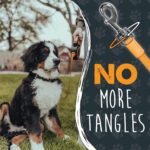Mighty Paw Retractable Dog Leash 2.0 | 16’ Heavy Duty Reflective Nylon Tape Lead For Pets Up To 50 lbs. Tangle Free Design W/ One Touch Quick-Lock Braking System & Anti-Slip Handle. (Orange/Lite) - Image 6