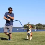 Pawtitas Recycled Reflective Step-in Dog Harness – Adjustable No-Pull Vest for Puppies to Seniors, Safe & Comfortable S Black - Image 10