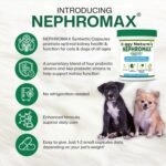 Synbiotic Capsules for Kidney Support for Dogs & Cats (120 Small Capsules) - Advanced Next-Generation Enteric detoxifying Blend of Pre & Probiotics Kidney Support U.S.A (120 Caps) - Image 10