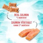 Milk-Bone Soft & Chewy Dog Treats, Tender Oven Baked Snacks Made with Tasty Wholesome Ingredients, Mini's, Real Meat Salmon Recipe 252 g (Pack of 6) - Image 5