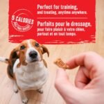 Milk-Bone Soft & Chewy Dog Treats, Tender Oven Baked Snacks Made with Tasty Wholesome Ingredients, Mini's, Real Meat Salmon Recipe 252 g (Pack of 6) - Image 9