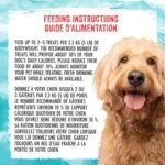 Milk-Bone Soft & Chewy Dog Treats, Tender Oven Baked Snacks Made with Tasty Wholesome Ingredients, Mini's, Real Meat Salmon Recipe 252 g (Pack of 6) - Image 10