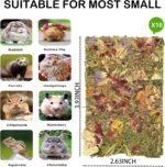 10pcs Rabbit Toys Bunny Toy Rabbit Molar Chips Timothy Hay Chew Toys with Herbal Flowers Guinea Pig Treats Hamster Snacks for Cleaning Teeth - Image 3