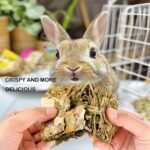 10pcs Rabbit Toys Bunny Toy Rabbit Molar Chips Timothy Hay Chew Toys with Herbal Flowers Guinea Pig Treats Hamster Snacks for Cleaning Teeth - Image 6