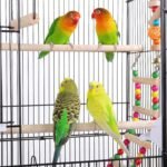 Yaheetech Roof Top Large Flight Parakeet Parrot Bird Cage with Rolling Stand for Parakeets Cockatiels Lovebirds Finches Canaries Budgie Conure Small Parrot Bird Cage Birdcage - Image 8