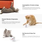 Interactive Cat Toys Ball with LED Light, 360 Degree Self Auto Rotating Smart Ball, USB Rechargeable Spinning Cat Ball Toy,Stimulate Hunting Instinct Kitten Funny Chaser Roller Pet Toy - Image 5