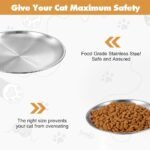 Whisker Fatigue Relief Cat Bowls - 2 Pack Stainless Steel Shallow Food & Water Dishes for Small Pets (5.5" Diameter) - Image 8