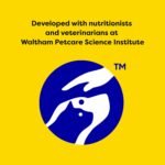 Whiskas Temptations Cat Treats Savory Salmon Flavor Helps Control Tartar 3oz - Image 9