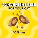 Whiskas Temptations Cat Treats Savory Salmon Flavor Helps Control Tartar 3oz - Image 10