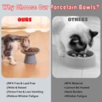 Extra Wide 6.1'' Ceramic Raised Cat Food Bowl, Shallow Elevated Pet Feeder for Food Feeding, Anti Vomiting Whisker Fatigue Cat Stuff Bowls for Cat Puppy, Blue - Image 7