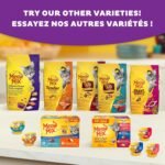 Meow Mix Dry Cat Food, Gravy Bursts Savoury Chicken Flavour Crunchy Kibble with Pockets of Real Gravy 1.36 kg (Pack of 1) - Image 9