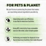 Beyond Grain Free Natural Wet Cat Food, Pate Variety Pack 4 Flavours - 85 g Can (24 Pack) - Image 7