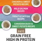 Beyond Grain Free Natural Wet Cat Food, Pate Variety Pack 4 Flavours - 85 g Can (24 Pack) - Image 9