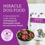 Dr. Harvey's Paradigm Green Superfood Dog Food, Human Grade Dehydrated Grain Free Base Mix for Dogs, Diabetic Low Carb Ketogenic Diet (3 Pounds / 1.36 Kg) - Image 3