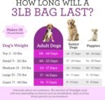 Dr. Harvey's Paradigm Green Superfood Dog Food, Human Grade Dehydrated Grain Free Base Mix for Dogs, Diabetic Low Carb Ketogenic Diet (3 Pounds / 1.36 Kg) - Image 6