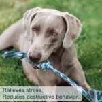 Dog Rope Toys for Aggressive Chewers, XIACIBDUS Dog Chew Toy Dog Toys for Puppy Teething, Durable Small Dog Toys Tug of War Dog Toy for Medium Small Dogs 6 Pack - Image 6