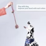 Dog Rope Toys for Aggressive Chewers, XIACIBDUS Dog Chew Toy Dog Toys for Puppy Teething, Durable Small Dog Toys Tug of War Dog Toy for Medium Small Dogs 6 Pack - Image 7