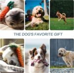 Dog Rope Toys for Aggressive Chewers, XIACIBDUS Dog Chew Toy Dog Toys for Puppy Teething, Durable Small Dog Toys Tug of War Dog Toy for Medium Small Dogs 6 Pack - Image 8