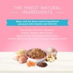 Blue Buffalo True Solutions Natural Adult Wet Dog Food, Digestive Care, 354g cans (Pack of 12) - Image 4