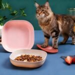 4 Pcs Cat Food Bowl Sets, 5.8 in Wide Shallow Bowl Food Dish for Relief Whisker Fatigue, Plastic Pet Plate Cats Wet Feeding Dish or Plate for Kittens and Short Legged Cat (Beige,Pink,Yellow,Green) - Image 7
