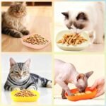 4 Pcs Cat Food Bowl Sets, 5.8 in Wide Shallow Bowl Food Dish for Relief Whisker Fatigue, Plastic Pet Plate Cats Wet Feeding Dish or Plate for Kittens and Short Legged Cat (Beige,Pink,Yellow,Green) - Image 8