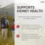 Herba Kidney Cleanse Supplement – 120 Capsules | 8 Herbal Ingredients | Astragalus Root, Uva Ursi, Burdock, Juniper Berry, Nettle Leaf, Ginger, and More | Kidney Cleanser | Made in Canada - Image 8