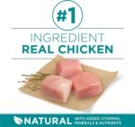 Purina ONE +Plus Large Breed Dry Dog Food with Chicken - 14 kg Bag - Image 5