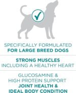 Purina ONE +Plus Large Breed Dry Dog Food with Chicken - 14 kg Bag - Image 6