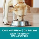 Purina ONE +Plus Large Breed Dry Dog Food with Chicken - 14 kg Bag - Image 7