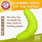 Arm & Hammer for Pets Scrubbies Boomerang Chew Toy for Puppies Infused with Baking Soda - Durable Teething Toy with Unique Shape for Fetch & Chew - Interactive Dental Chew Toy for Puppies - Image 3