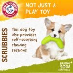 Arm & Hammer for Pets Scrubbies Boomerang Chew Toy for Puppies Infused with Baking Soda - Durable Teething Toy with Unique Shape for Fetch & Chew - Interactive Dental Chew Toy for Puppies - Image 4