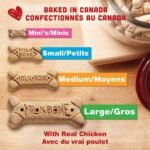 Milk-Bone Original Biscuits, Oven Baked Dog Treats Made with Real Chicken Meat, Crunchy Texture Helps Clean Teeth, Mini Snacks for Frequent Rewards, 475 g (Pack of 12) - Image 5