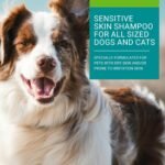 Vetoquinol Care Shampoo for Sensitive Skin – for Dogs and Cats – 275 ml - Image 4